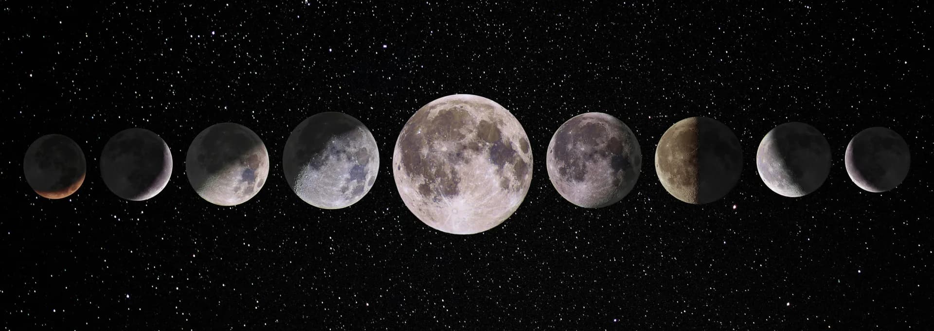 Lune pleine — calendrier lunaire viticulture Cave du Bonheur